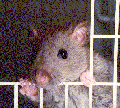 [Jasmine wants out!]