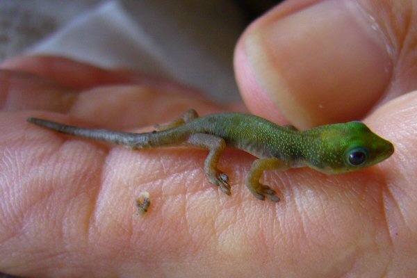 You can see her fingers and toes!