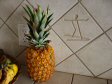 Hand-crafted petroglyph tiles by David Seymour adorn the kitchen backsplash at Hale Pōhaku(680x680)